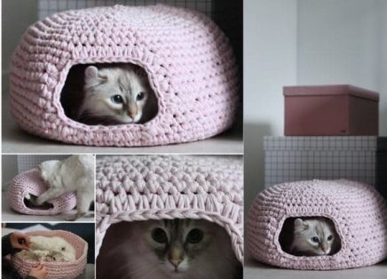 Toca-de-Gato-em-Croche