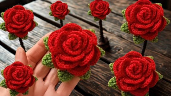 rosa-de-croche-com-grafico